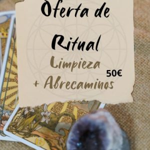 Oferta Navidad/ Fin de año Limpieza mas abre caminos